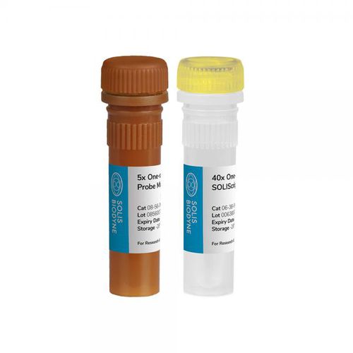 Reagenzkit / als Lösung - SOLIScript® 1-step Probe  - Solis BioDyne - Enzyme / für Forschungszwecke / Diagnose