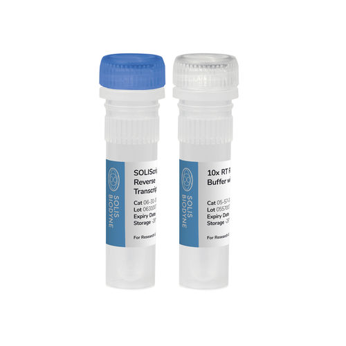 Reagenzkit / als Lösung - SOLIScript® KIT - Solis BioDyne - Enzyme / Diagnose / für Forschungszwecke
