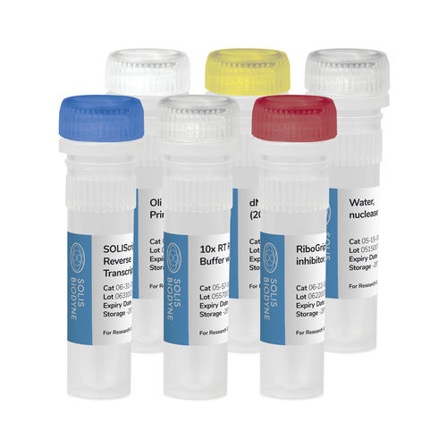 Reagenzkit / als Lösung - SOLIScript® RT cDNA synthesis  - Solis BioDyne - Enzyme / für Forschungszwecke / Labor