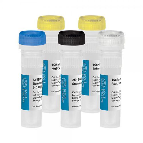 DNA-Polymerase-Reagenzkit - SoliSD™ Lyo-compatible Bsm DNA Polymerase Kit - Solis BioDyne - für isotherme Amplifikation