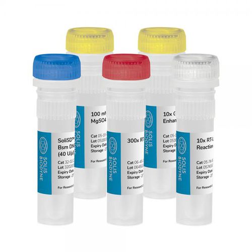 DNA-Polymerase-Reagenzkit - SoliSD™ Lyo-compatible RT-LAMP Kit - Solis BioDyne - für isotherme Amplifikation / LAMP-Kit