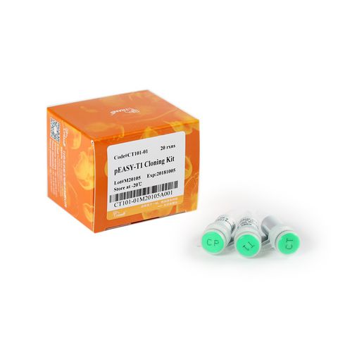 Ampicillin-Reagenzkit - pEASY® -T1 - TransGen Biotech Co. - für DNA-Sequenzierung / für Mikrobiologie