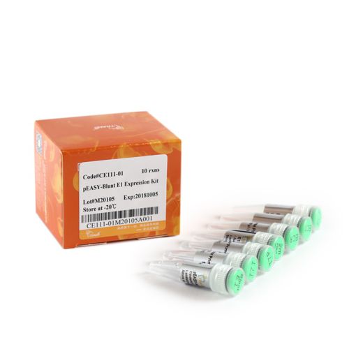 Ampicillin-Reagenzkit - pEASY®-Blunt E1 - TransGen Biotech Co. - für DNA-Sequenzierung / für Mikrobiologie / Protein