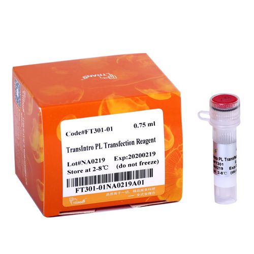 Pufferlösung - TransIntro™ PL - TransGen Biotech Co. - zur ADN-Transfektion