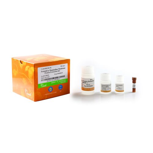Protease Reagenzkit - ProteinExt® - TransGen Biotech Co. - für Western Blot / für ELISA / Protein