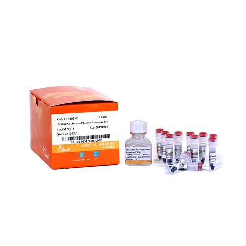 Reagenzkit / als Lösung - TransExo™ - TransGen Biotech Co. - Serum / Protease / Plasma
