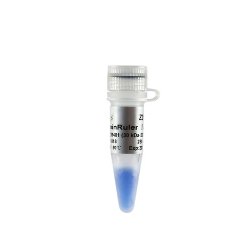 Reagenz / als Lösung - ProteinRuler® IV - TransGen Biotech Co. - für Elektrophorese / Protein