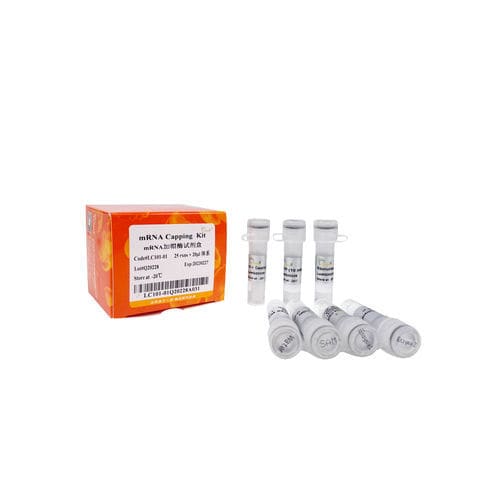 Enzyme-Reagenzkit - LC101-0 series - TransGen Biotech Co. - für In-vitro-Transkription / Viren / enzymatisch