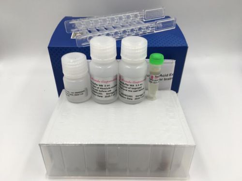 Reagenzkit zur RNA-Reinigung - RP250 series - Bioteke Corporation - für Molekularbiologie