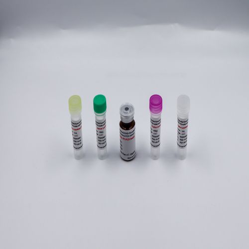 Reagenzkit / als Lösung - Bioteke Corporation - für Forschungszwecke / für PCR / Nukleinsäure