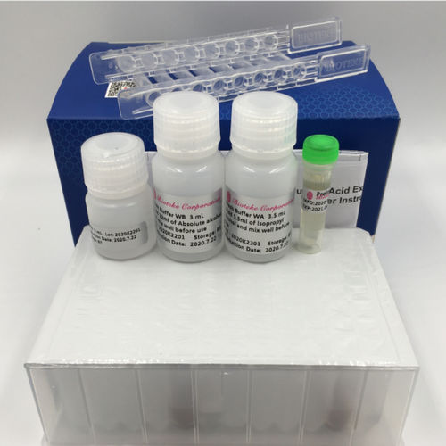 DNA-Polymerase-Reagenzkit - PR681 Series - Bioteke Corporation - umgekehrte Transkriptase / für Mikrobiologie / Nukleinsäure