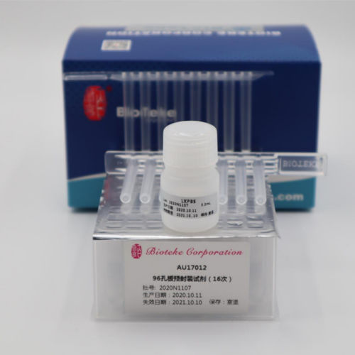 Pufferlösungs-Reagenzkit - AU17012 - Bioteke Corporation - als Lösung / zur RNA-Reinigung / für Molekularbiologie
