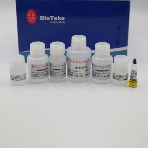 Taq-Polymerase-Reagenzkit - AU17012 - Bioteke Corporation - für PCR / Nukleinsäure