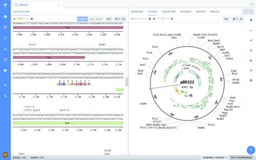 Molekularbiologie-Software - Benchling - Labor / Aufzeichnung / Content-Sharing