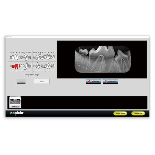 Software für veterinär dentale Bildgebung - Apixia - Visualisierung / Dental