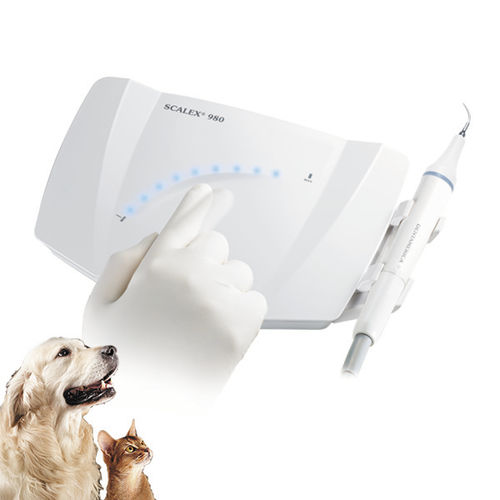 Piezoelektrischer Dental-Scaler - SCALEX® 980 - Apixia - endodontisch / für Veterinärmedizin / Komplettset