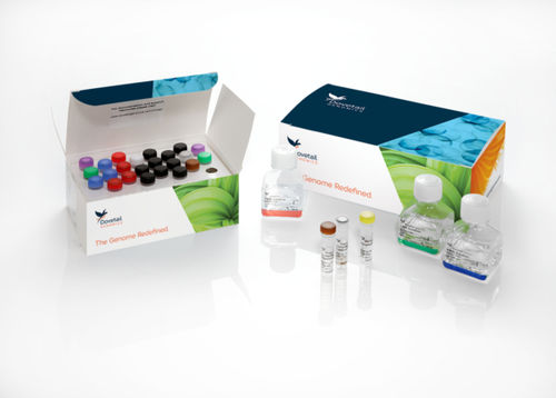 Enzyme-Reagenzkit - Hi-C - Dovetail Genomics - für Forschungszwecke / NGS / für Blutproben
