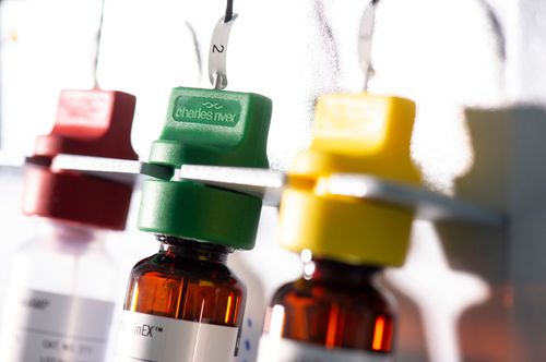 Enzyme-Reagenz - Celsis®  - Charles River Laboratories - für Mikrobiologie / für Proben / flüssig