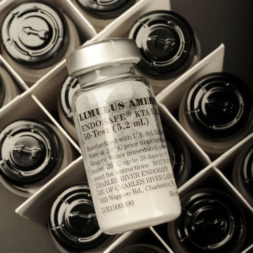 Pufferlösungs-Reagenzkit - LAL  - Charles River Laboratories - für Turbidimetrie / chromogen
