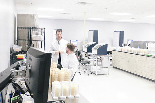 Identifizierungssystem für Bakterien / MALDI-TOF - AccuPRO-ID®  - Charles River Laboratories