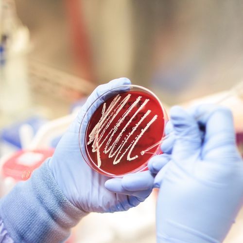 Unterlagenverwaltungs-Software - AccuGENX-ST®  - Charles River Laboratories - überwacht / medizinisch / zur Sequenzierung