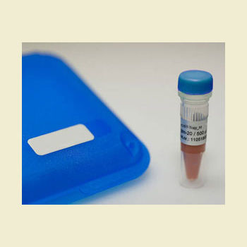 Monoklonaler Antikörper - mNeonGreen-Trap - Bulldog Bio, Inc. - Enzyme / für Western Blot / Protein
