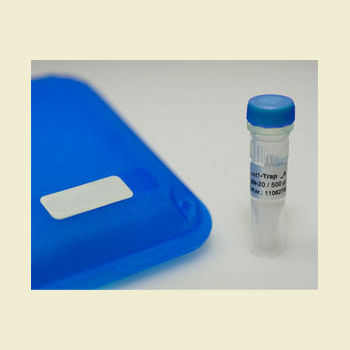 Antikörper - RFP-Trap A - Bulldog Bio, Inc. - für zellulare Bildgebung / Biochemie / Protein