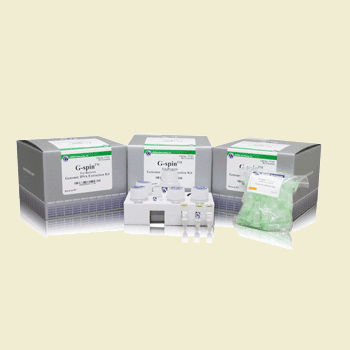 Pufferlösungs-Reagenzkit - G-spin - Bulldog Bio, Inc. - für Blutproben / Gewebe / für DNA-Extraktion