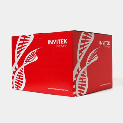 Testkit für Infektionskrankheiten - 1050100200 - Invitek Molecular - COVID-19 / DNA / SARS-COV-2