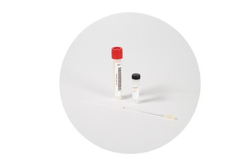Labor-Abnahmeset - DermaSwab - Invitek Diagnostics - kutan / Nukleinsäure / für DNA