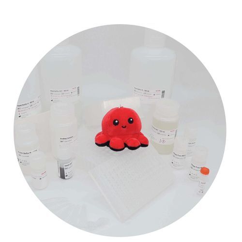 Reagenzkit / als Lösung - InviMag&reg; Universal Kit/ KF96 - Invitek Diagnostics - für DNA-Extraktion / für RNA-Extraktion / Diagnose