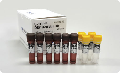Reagenzkit für Echtzeit-PCR - U-TOP™ DEP - SEASUN BIOMATERIALS INC.