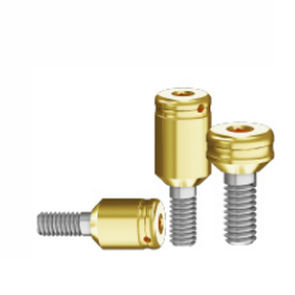 Implantat-Abutment / Titan - Bio-PCA series - Biotec Dental Implant Development GmbH - Edelstahl / mit Innenverbindung / gerade