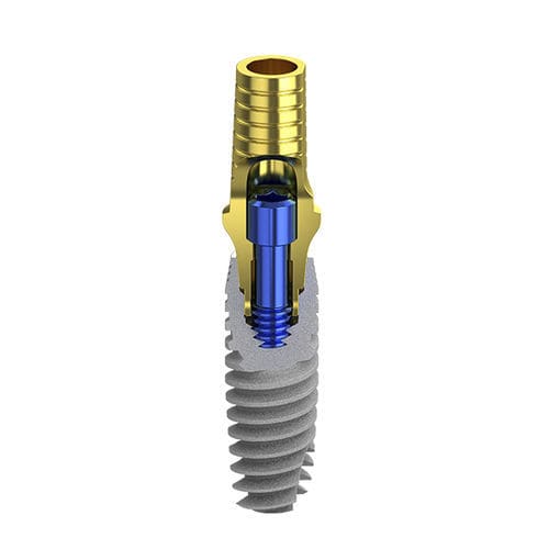 Zylindrisches Zahnimplantat - B1 - Biotec Dental Implant Development GmbH - Titan / mit Innenverbindung / konisch