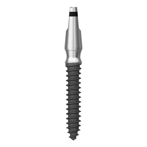 Zylindrisches Zahnimplantat - MS - Osstem Implant France - Titan / einteilig / one step