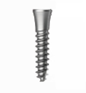 Konisches Zahnimplantat - Osstem Implant France - Titan / gerade / Schrauben