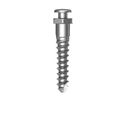 Mini-Implantat / Titan - Osstem Implant France - gerade / Schrauben / zur kieferorthopädischen Verankerung