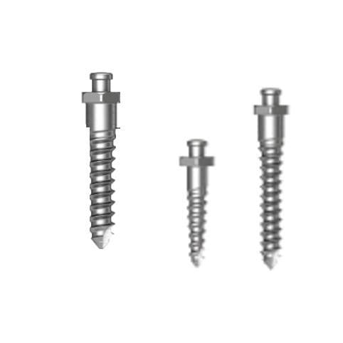 Mini-Implantat / Titan - Osstem Implant France - gerade / Schrauben / zur kieferorthopädischen Verankerung