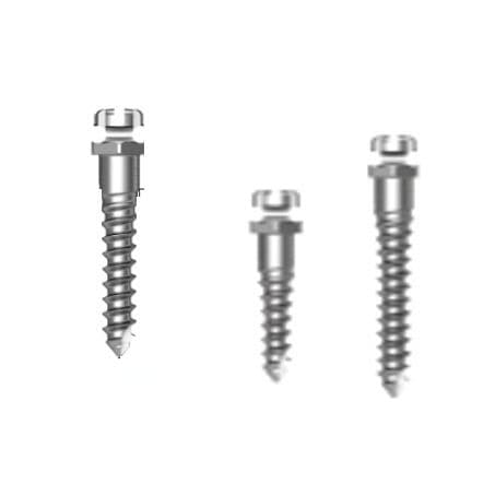 Mini-Implantat / Titan - Bracket Head - Osstem Implant France - mit Innenverbindung / gerade / Schrauben