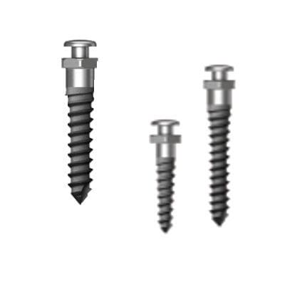 Mini-Implantat / Titan - Simple Head Half Etched - Osstem Implant France - gerade / Schrauben / zur kieferorthopädischen Verankerung
