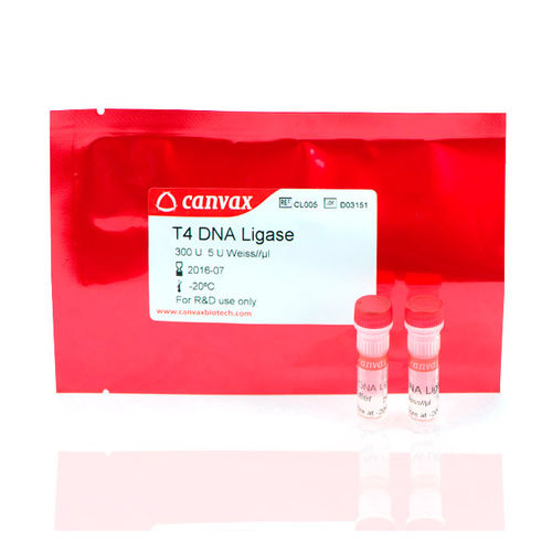 Reagenzkit / Ligase ADN - T4 - Canvax - Nukleinsäure / Escherichia coli