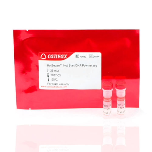 DNA-Polymerase-Reagenzkit - HotBegan™ - Canvax - Taq-Polymerase / Antikörper / für PCR