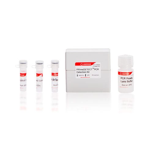 Testkit zur DNA-Extraktion - PRImeDETECT™ - Canvax - Listeria monocytogenes / für Echtzeit-PCR