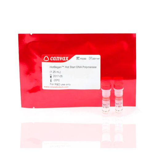 Reagenzkit / als Lösung - HotBegan™ - Canvax - Taq-Polymerase / Antikörper / für Echtzeit-PCR