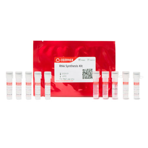 Enzyme-Reagenzkit - CVX™ - Canvax - RNase-Inhibitor / für Forschungszwecke / zur Medikamentenentwicklung