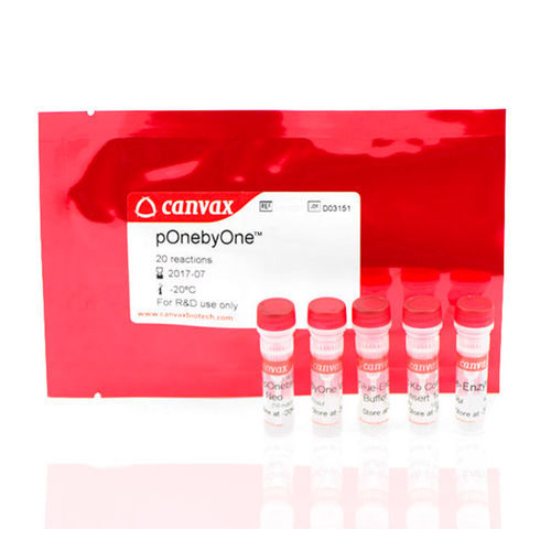 Reagenzkit / als Lösung - pOnebyOne™ I  - Canvax - Wachstumsfaktor / für PCR