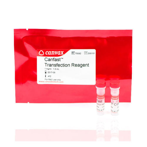 Reagenzkit / als Lösung - CANFAST™ - Canvax - für Forschungszwecke / zur ADN-Transfektion / zur Medikamentenentwicklung