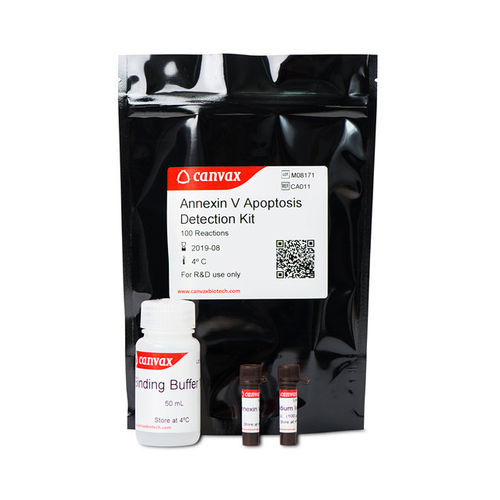 Testkit für Forschungszwecke - Annexin V - Canvax - Apoptose / Plasma / für Zellen