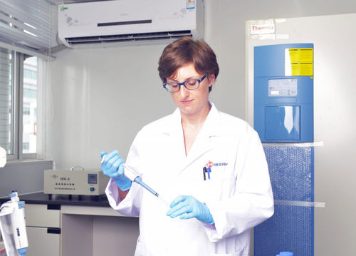 Testkit für Drogenscreening - EtG - Bioeasy USA Inc. - für Medikamente / Äthanol / Urin