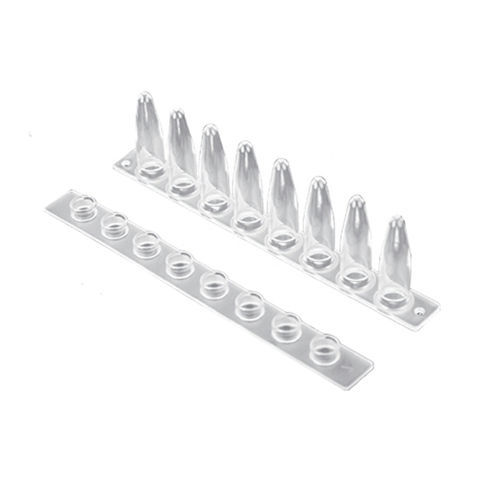 Nukleinsäure-Teststreifen - 203001 - taizhou suntrine biotechnology co.,ltd - für PCR